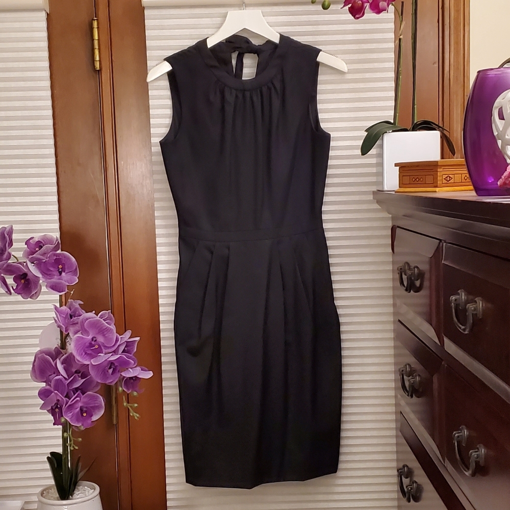 COPY - J. Crew Neck Tie Dress